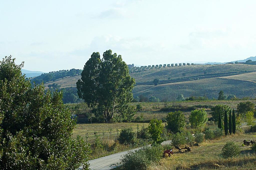 Agriturismo Poggio Alle Calle Saturnia Eksteriør bilde